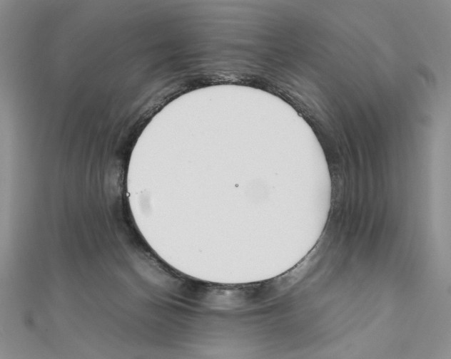 X0000111140174200907281119