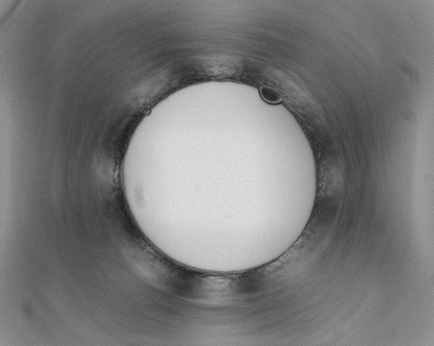 X0000111140176200907281119