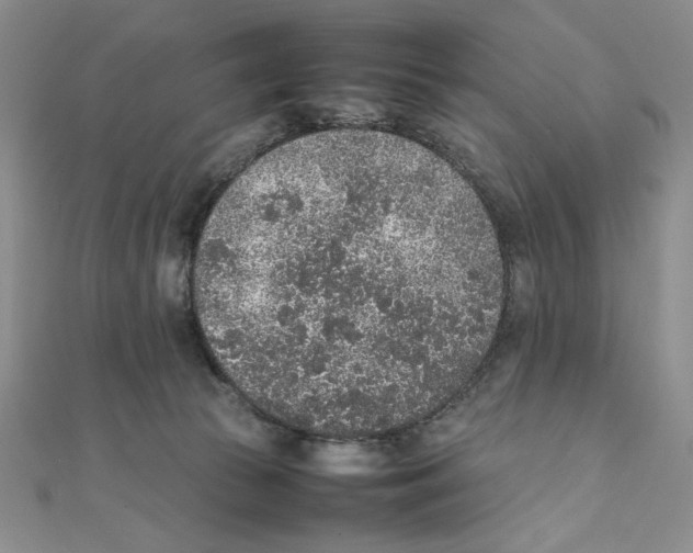 X0000111140177200907281119