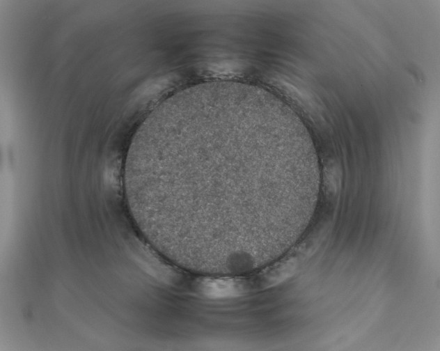 X0000111140181200907281119