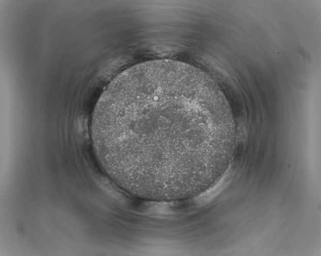 X0000111140182200907281119