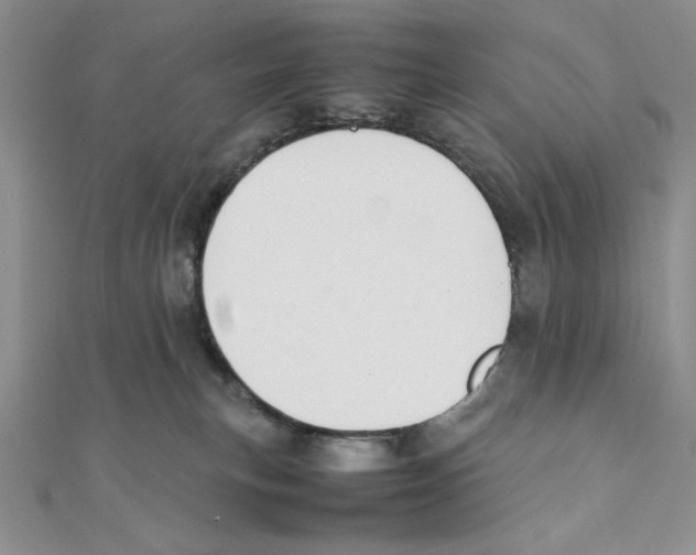 X0000111140183200907281119