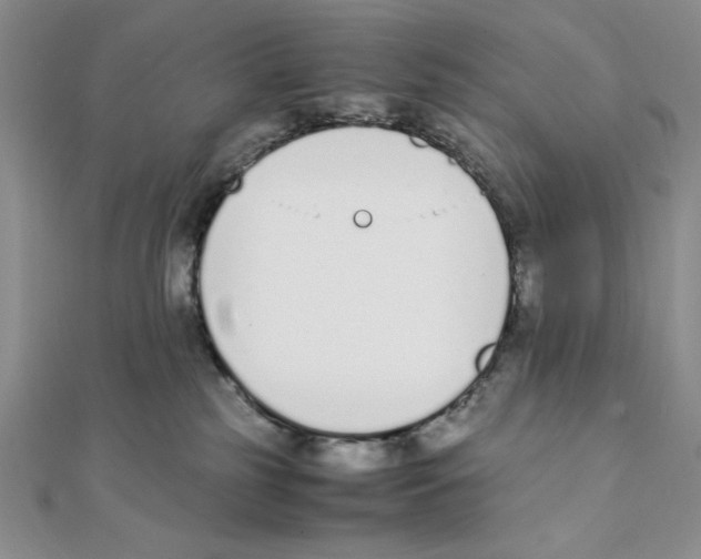 X0000111140185200907281119