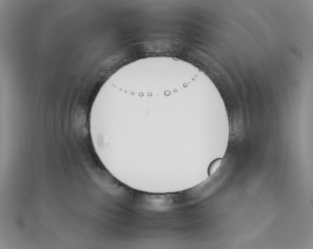 X0000111140187200907281119