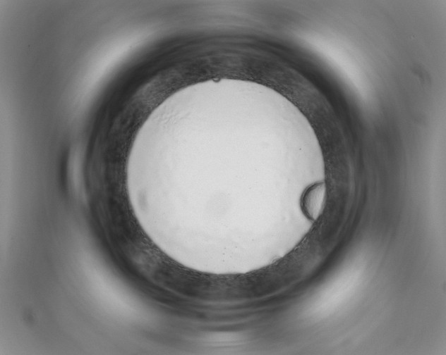 X0000111140189200907281119