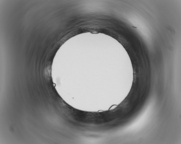 X0000111140190200907281119