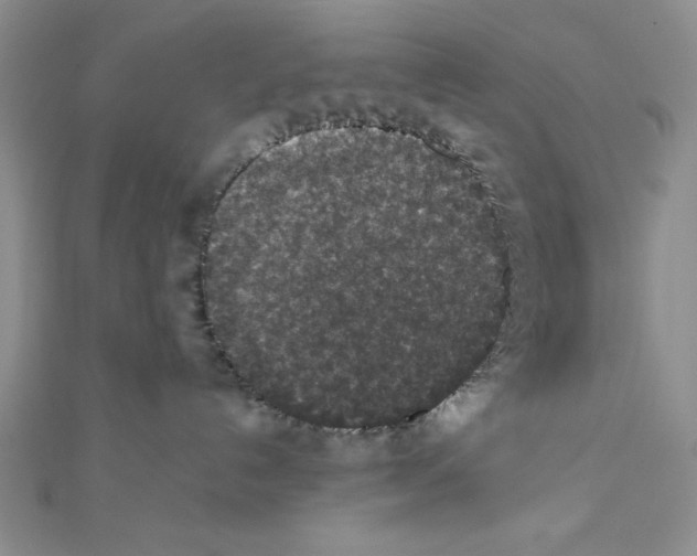 X0000111140192200907281119