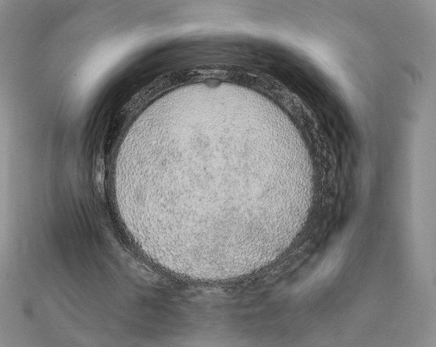 X0000111140194200907281119