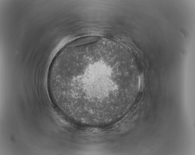 X0000111140195200907281119