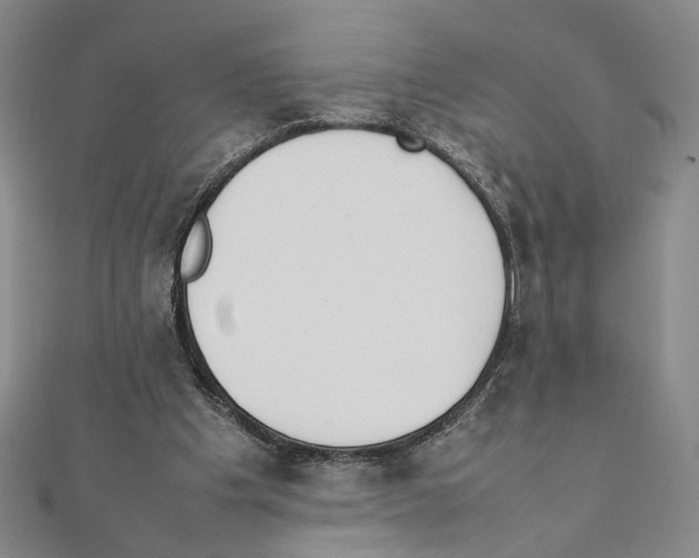 X0000111140201200907281119