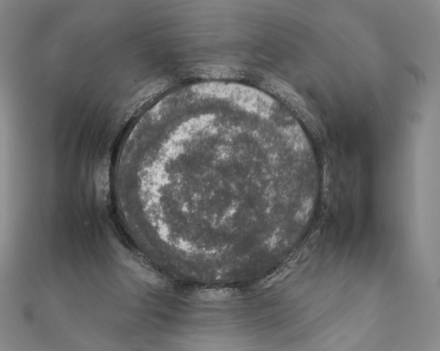 X0000111140202200907281119