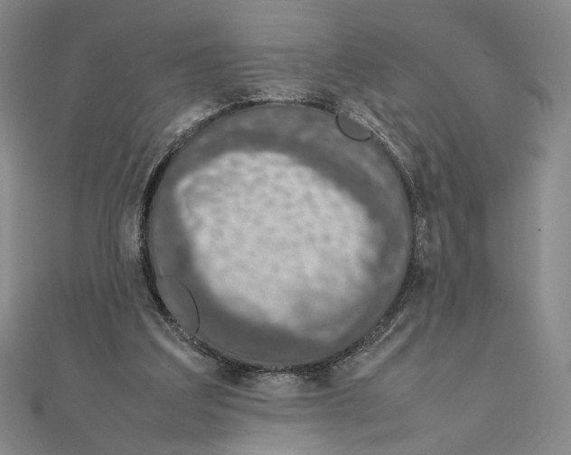 X0000111140203200907281119