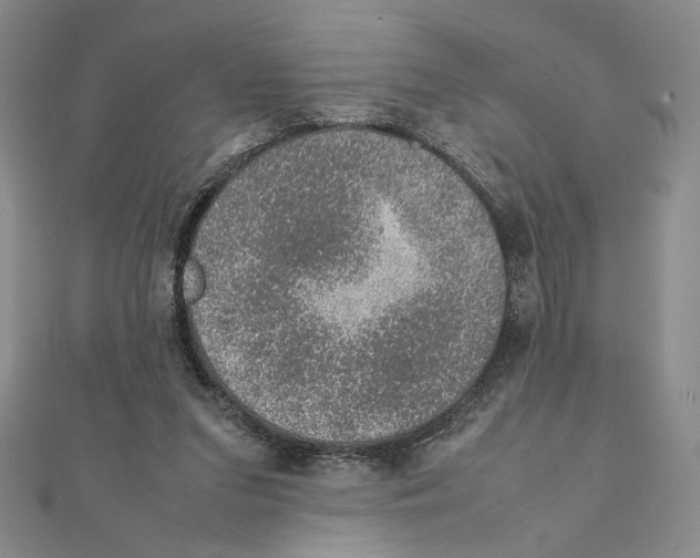 X0000111140207200907281119