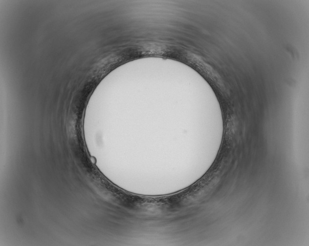 X0000111140209200907281118