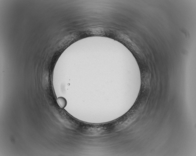 X0000111140213200907281118