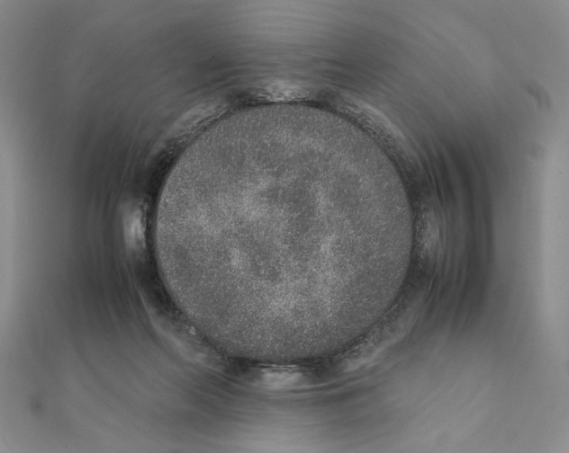 X0000111140214200907281118