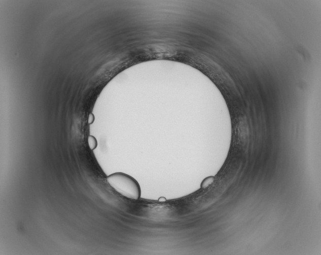 X0000111140218200907281118