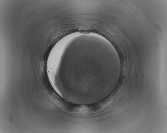 X0000111140219200907281118