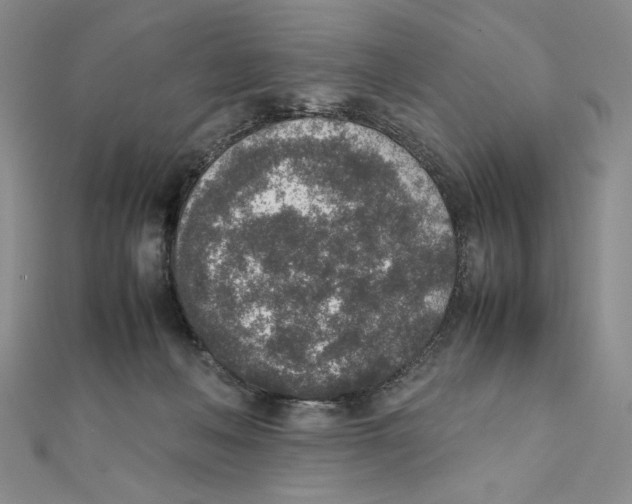 X0000111140222200907281118