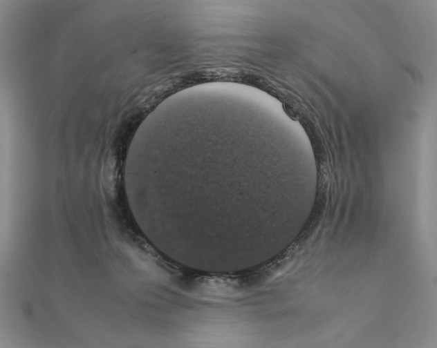 X0000111140223200907281118