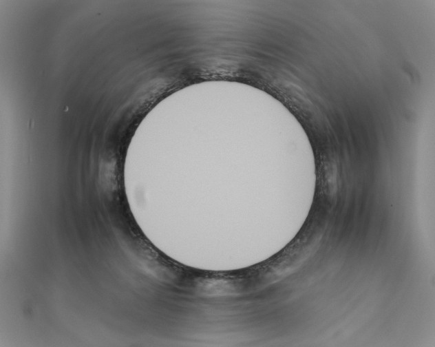 X0000111140224200907281118