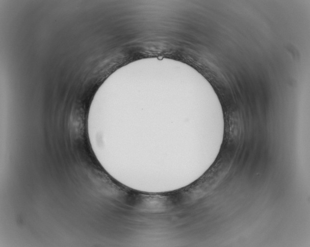 X0000111140226200907281118