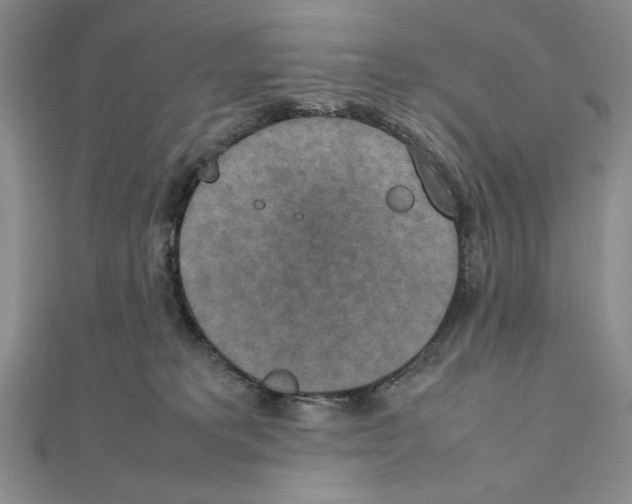 X0000111140229200907281118