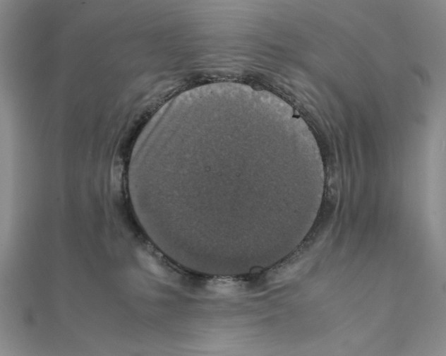 X0000111140231200907281118