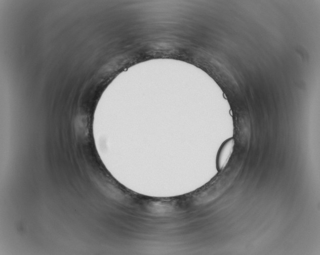 X0000111140232200907281118