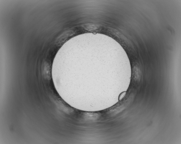 X0000111140234200907281118