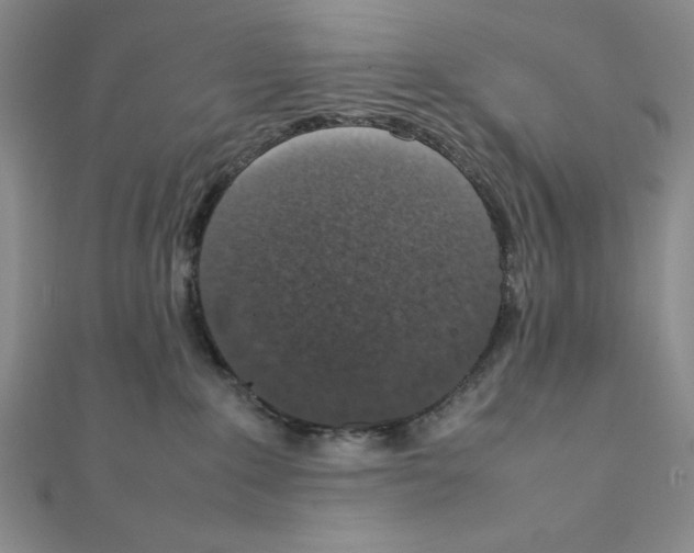 X0000111140235200907281118