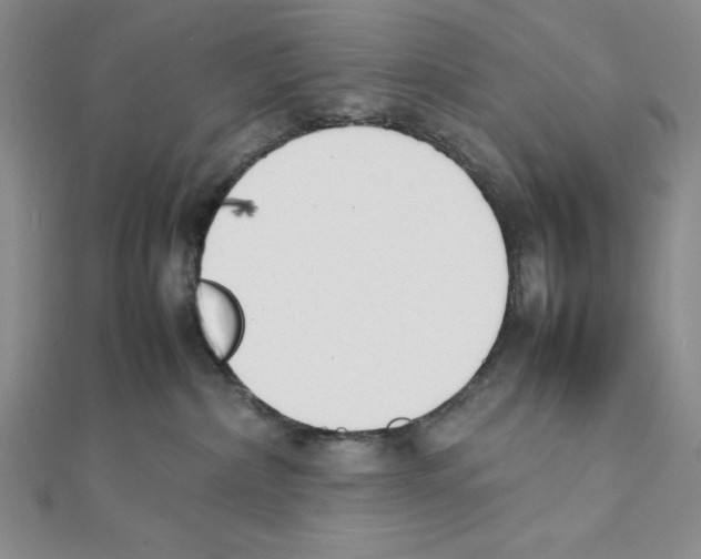 X0000111140236200907281118