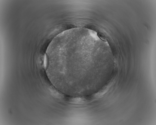 X0000111140237200907281118