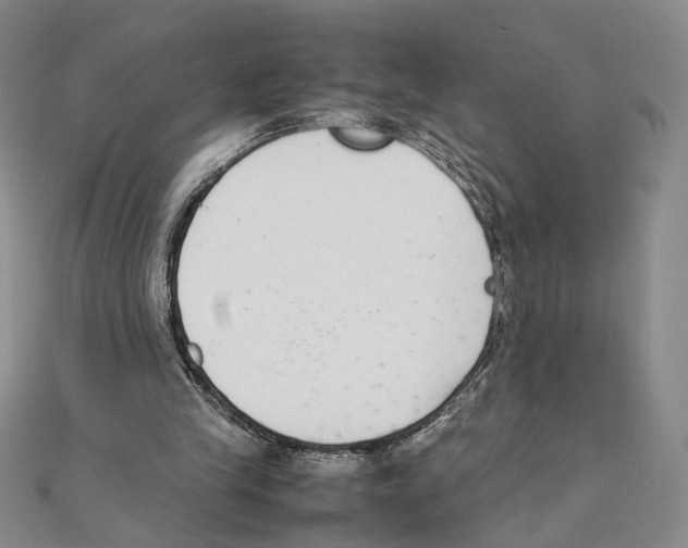 X0000111140245200907281118