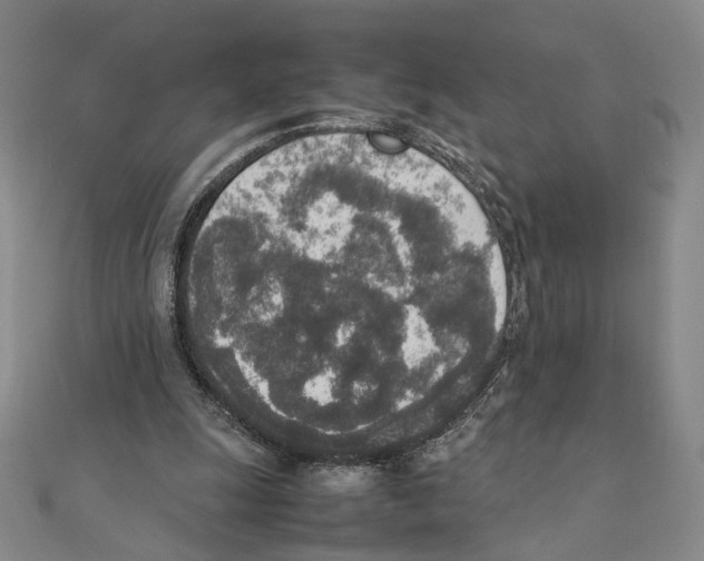 X0000111140247200907281118