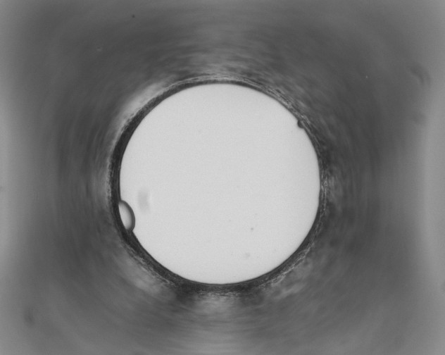 X0000111140248200907281118