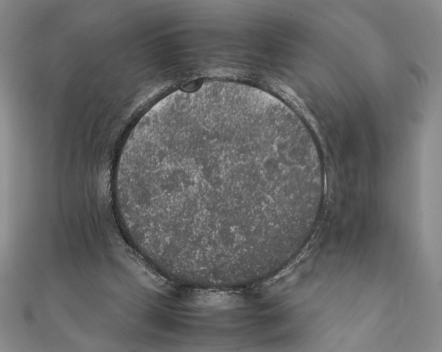 X0000111140249200907281118