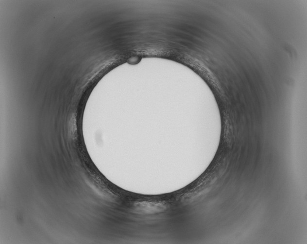 X0000111140251200907281118