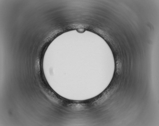 X0000111140254200907281118