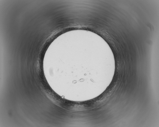 X0000111140256200907281118