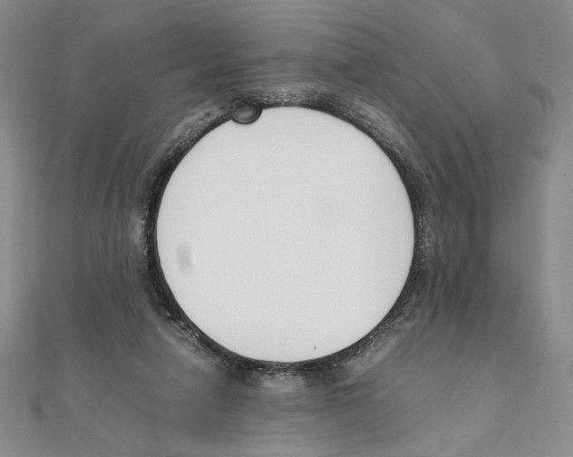 X0000111140258200907281118