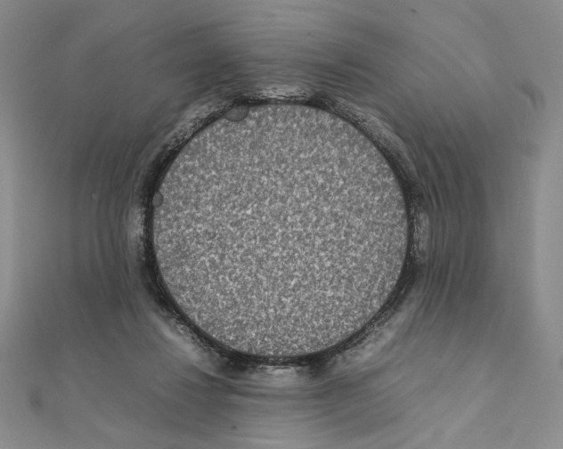 X0000111140260200907281118