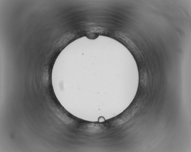 X0000111140261200907281118