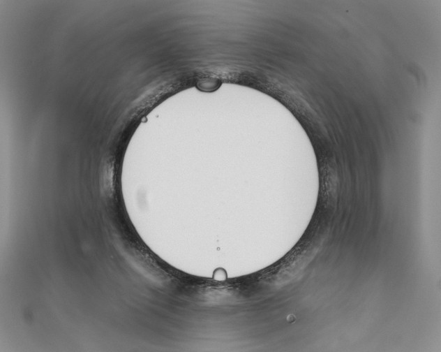 X0000111140262200907281118