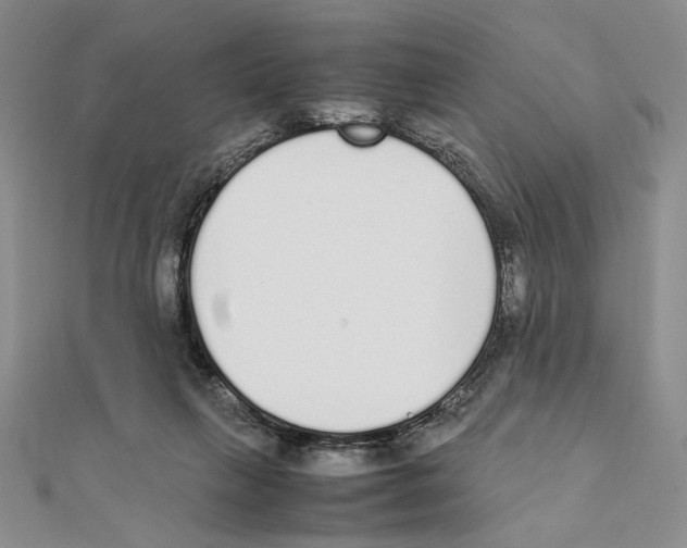 X0000111140263200907281118