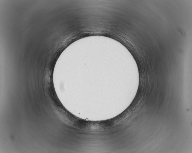 X0000111140264200907281118