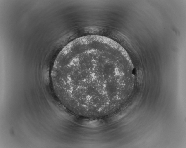 X0000111140267200907281118