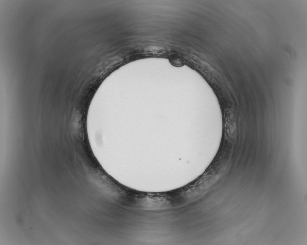 X0000111140270200907281118