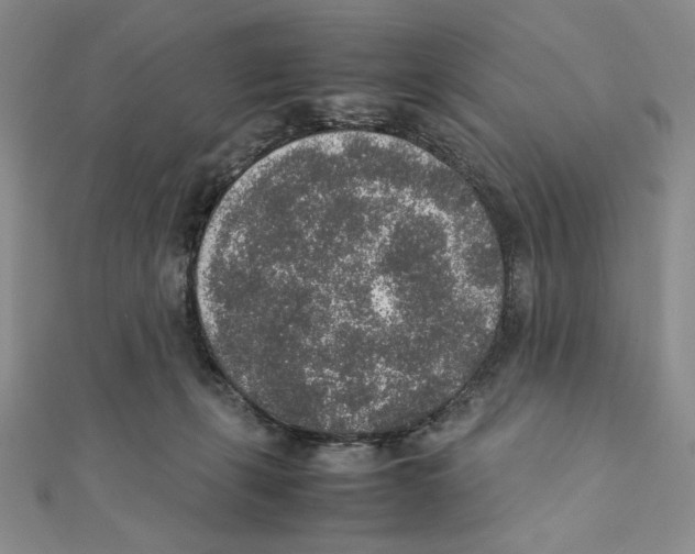 X0000111140271200907281118