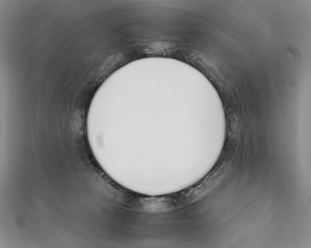 X0000111140273200907281118